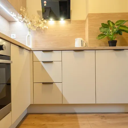 Chwaliszewo Deluxe Studio Old Town Apartment *